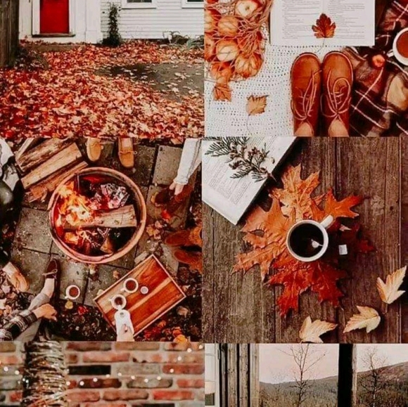 Instagrammmmm 🍂🍁 - Picture 3 of 12